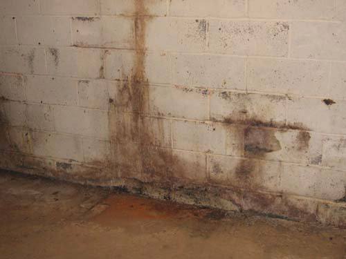 damp-basement-mold Foundation Repair West Chester PA